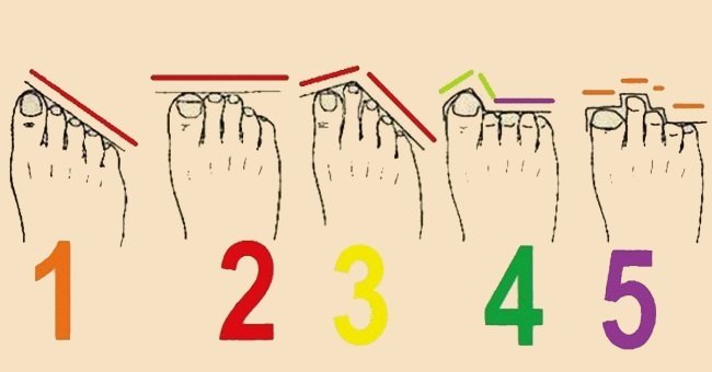 ფეხის თითების ფორმას უამრავი საინტერესო ფაქტის მოთხრობა შეუძლია საკუთარი თავის შესახებ