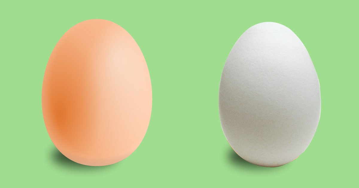 აი როგორი ძირეული განსხვავებაა ყავისფერ და თეთრ კვერცხებს შორის!