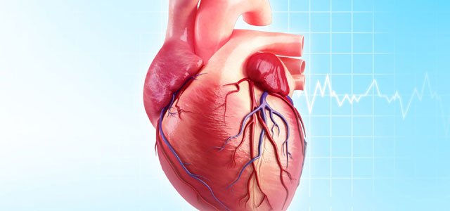 ხალხური სამკურნალო საშუალებები  არითმიის დროს გულის ნორმალური მოქმედების აღსადგენად.