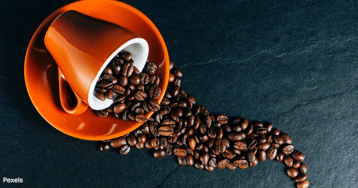 რაც უფრო მეტ ყავას სვამთ, მით უფრო დიდ ხანს იცოცხლებთ. აი, ერთდროულად 2 კვლევის შედეგი